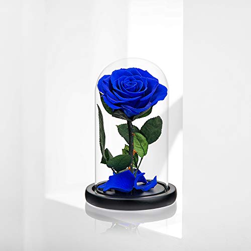 Preserved Roses Royal Blue Roses in Glass Dome, Medium, Preserved Flowers for Women - color: Royal Blue, size: Medium