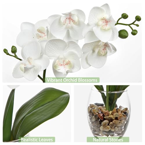 White Orchids Artificial Flowers with Vase, Small Faux Orchid Arrangement Set of 2 Fake Flowers in Glass Vases Small White Centerpieces for Kitchen Dining Room Tables Bathroom Nightstand Shelf Decor - color: White # Clear#2 Packs
