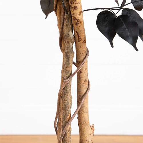 Nearly Natural 4ft Artificial Halloween Black Ficus Tree with Natural Trunk - Indoor Decor for Spooky Gatherings