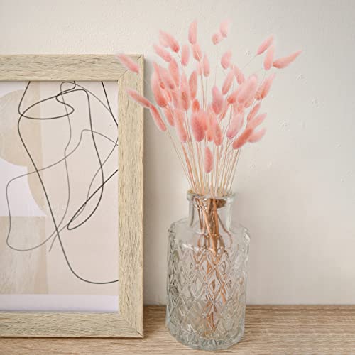Uieke 17’’ Natural Bunny Tails Dried Flowers, 50 Pcs Dried Lagurus Ovatus, Dried Pink Pampas Grass Decor for Farmhouse Flower Arrangements Wedding Home Boho Party Decorations - color: Pink-50pcs