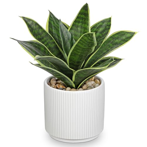 Artificial Agave Succulent Plants Faux Snake Plant Fake Succulent Agave Plants Potted in White Pot Succulent Aloe Plant for Desk Modern Office Living Room Table Shelf Home Indoor Outdoor Decor - color: Style 2