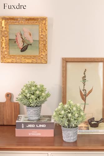 2 Pack Small Desk Plants, Artificial Bathroom Plants Decor with Flower in Vintage Melamine Pots, Faux Plants Indoor for Shelf Decor in Home Office, and Spring Decor (Ivory White) - color: Ivory White
