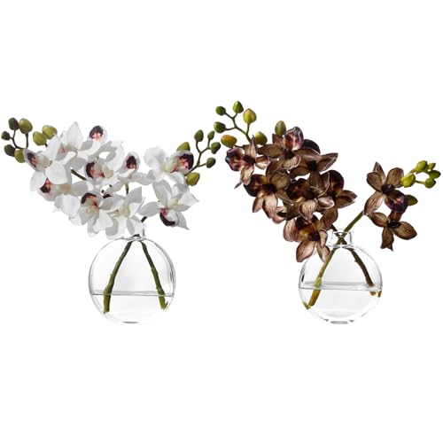 Artificial White Orichid Artificial Flowers in Clear Glass Water‑Filled Vase – Silk Fake Plants Table Centerpiece for Home, Shelf, Office & Dining Decor, Maintenance‑Free (White Coffee) - color: White Coffee