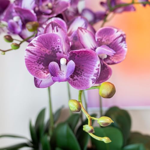 DUYONE 35 Inch Artificial Butterfly Orchid Flowers 4 Pcs with 4 Bundles Leaves Artificial Orchid Flowers Stem Plants for Home Décor (Deep Purple) - color: Deep Purple 4pcs With 4 Leaves