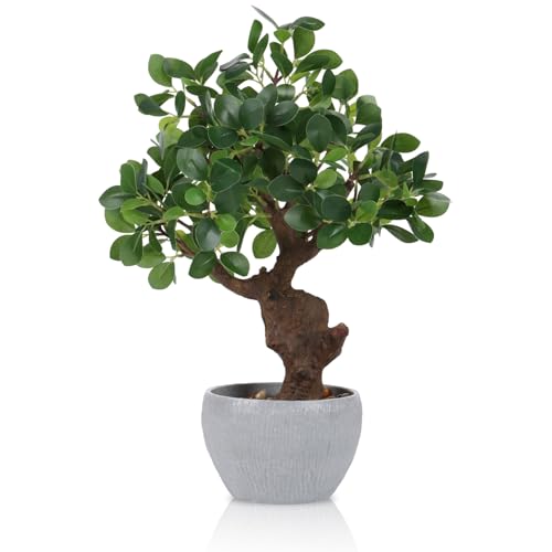 TOARTi Artificial Bonsai Tree Potted Plant with Stone Pot, 15" Tall Fake Potted Faux Plant Desk Decor, Realistic Decorative Plants Indoor Decor for for Home Bedroom Bathroom Office Desk - color: Milan-single Stem 15''