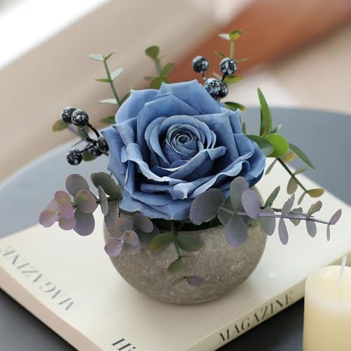 mizii DIY Small Artificial Flowers Potted Kit Fake Flower Realistic Silk Rose and Greenery with Vase for Gifts Table Centerpiece Mantle Office Desk Shelves Living Room Decorations (Navy Blue) - color: Navy Blue