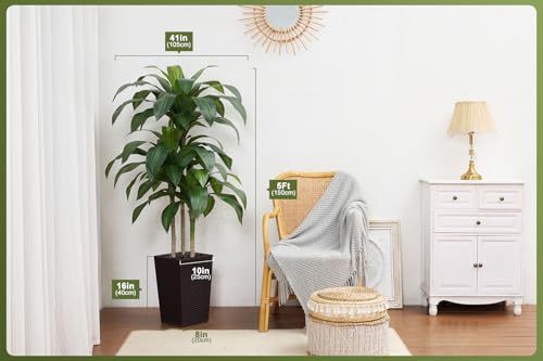 VeriNatural 5FT Artificial Dracaena Tree - UV Resistant Faux Tropical Plant, Potted Fake Tree with Taper Planter & Pebbles - Indoor Outdoor Greenery for Home, Porch, Living Room, Bedroom Decor, VN127 - color: Espresso Brown, size: 5ft
