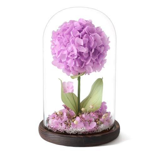 Forever Hydrangeas in Glass Dome,Forever Preserved Flowers Gifts Mothers Day Birthday for Grandma Women Mom Wife,Fresh Flowers for Delivery/Purple Hydrangea - color: Purple