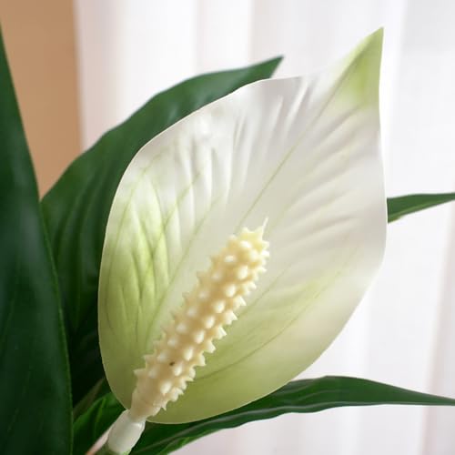 2 Packs Artificial Spathiphyllum Silk Plants 18.5" Faux Peace Lily Anthurium Flower for Wedding Home Garden Decoration (White) - color: White