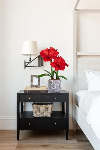 Briful Red Amaryllis Artificial Flowers in Blue Ceramic Pot 18.1" Faux Amaryllis Flower Arrangement with Decorative Bulbs Moss for Home Office Bathroom Table Shelf Décor - color: Red, size: Blue and White Ceramic Pot