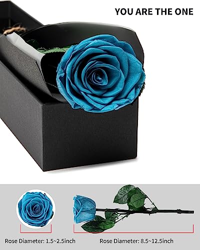 Loyal Blue Flowers for Delivery Prime, Preserved Blue Roses Flower Gifts for Women, Real Roses Single Rose Gifts for Her, Mom Birthday Gifts from Daughter, Valentines Flowers - color: 07-loyal Blue