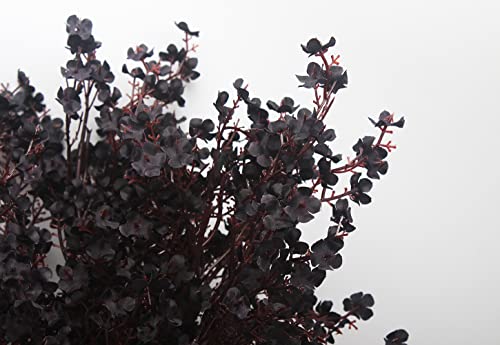 20pcs Babys Breath Artificial Flowers Gypsophila Bouquet Bulk Fake Spring Silk Small Flowers Real Touch Faux Floral for Home Kitchen Garden Wedding Christmas Halloween Party DIY Decor (Black) - color: Black, size: 20 Bundles