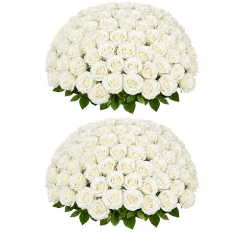 50 PCS White Roses Artificial Flowers, Fake White Roses Bouquet,White Artificial Silk Roses with Stems for DIY Wedding Flowers Decoration, Valentines Day, Home Decor, Bridal Bouquet Roses - color: Beige, size: 50 Pcs