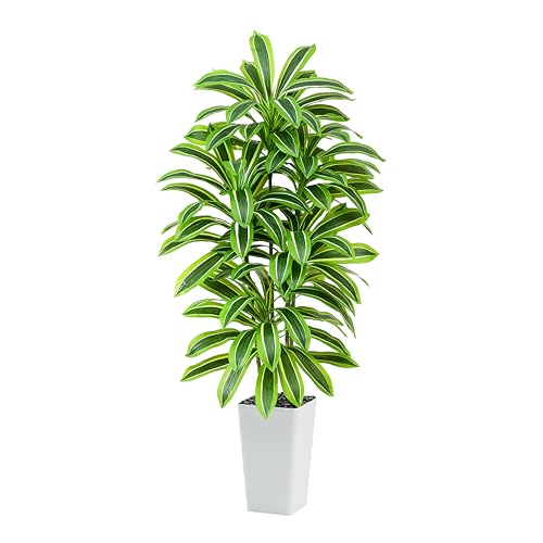 Artificial Dracaena Tree：6FT Faux Silk Tropical Yucca Floor Trees Realistic Fake Green Plant with Natural Wood Trunk & Lifelike Leaves for Home Office Decor Indoor & Outdoor (6FT,1-Pack,White) - color: Light Green – White Pot, size: 6FT