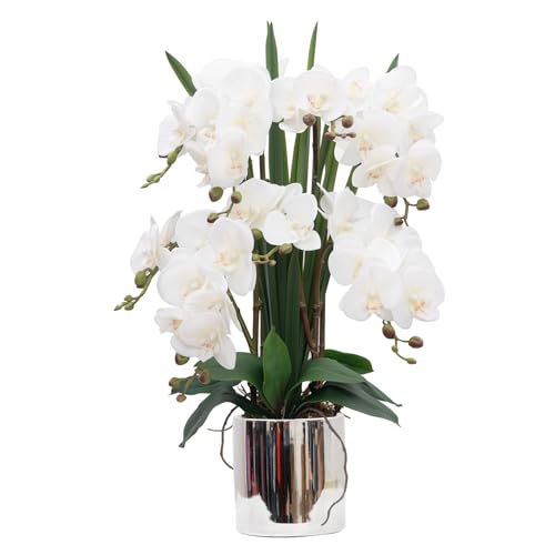 CXGS Artificial Orchid Flower Plants Real Touch Faux Orchids in Ceramic Vase 20.9'' White Phalaenopsis Orchid Fake Flower Arrangement Home Indoor Decor - color: White- Silver (12cm)
