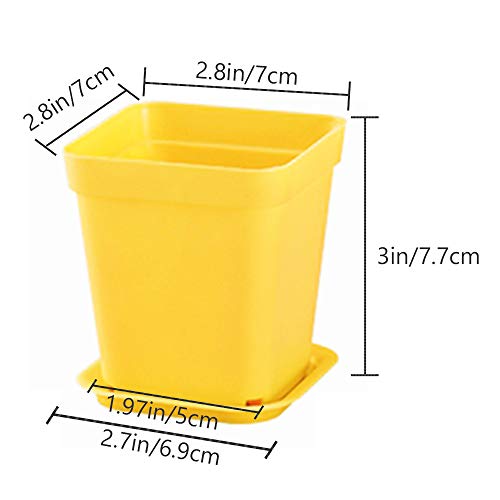 Haawooky 24 Pack Colorful Flower Pots Square Plastic Plant Pots Succulent Planter Nursery Pots with Saucers for Your Room,Garden Office and Balcony Decor - size: 24 pack