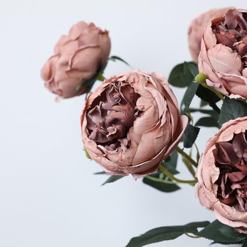 mizii 6Pcs Burnt Pink Artificial Roses Flowers Fake Silk Roses Flower with Long Stem for Wedding Decorations Table Centerpieces Flower Arrangement Home Decor (Burnt Pink) - color: Burnt Pink