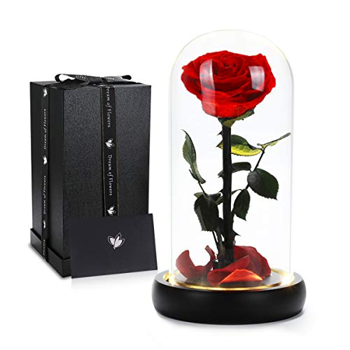 Mothers Day Rose Flower Gifts, Beauty and The Beast Rose Gifts for Women Wife Mom Girlfriend,Preserved Real Rose in Glass Dome,Forever Flowers with Warm Lights,Birthday Gifts for Women - color: Led Rose
