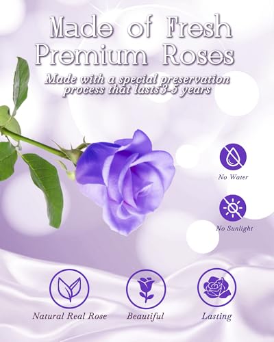 HVY Preserved Flower Bouquet Gift for Her,Forever Fresh Flowers for Delivery Prime Preserved Roses in Glass with LED Light Mothers Day Birthday Gifts for Mom,Wife,Grandma, Purple Rose - color: Purple Rose