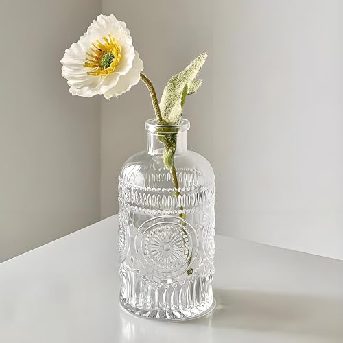 TIWPAJS Propagation Vases for Plants, Bud Vases, Small Glass Vase for Flowers, Home Decor, Table Decor, Shelf Decor, Desk Decor, Office Decor