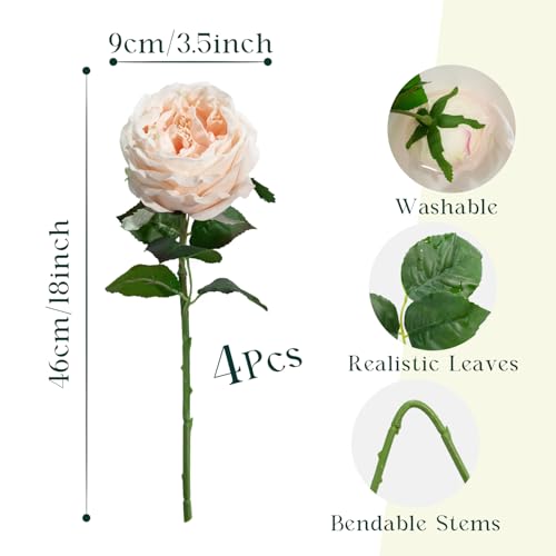 4 Pcs Real Touch Peonies Artificial Flowers, 3.5'' Big Bloom Austin Rose Peony Latex Fake Flower with Stems for Wedding Bouquet Party Valentines Arrangement Home Kitchen (Champagne) - color: Champagne