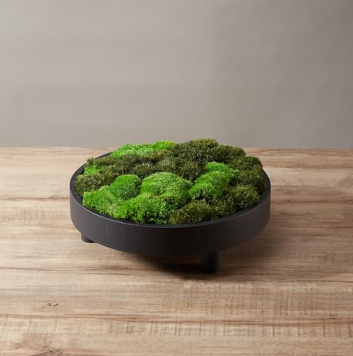 Large Natural Green Decorative Moss Reindeer Vase & Bowl Filler|Preserved Leaves, Ferns, Dried Plant Christmas Wedding Party Decor(Christmas-1) - color: Christmas-1, size: 1.5 sq.ft.