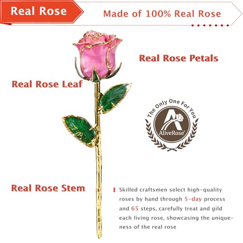AliveRose Gold Plated Rose Made from Real Rose - Unique Design 24K Dipped Rose for Anniversary Valentines Mothers Day Birthday Gifts for Wife (Pink Original with Crystal Vase) - color: 5. Pink Original Rose With Crystal Vase