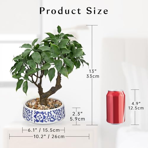 Artificial Bonsai Tree, Small Ficus Bonsai Tree 13" Indoor Bonsai Tree | Fake Potted Plant Decorative Fake Desk Plant Decor with Blue & White Ceramic Pot for Home Office Bathroom Table Shelf - color: Green Ficus& Blue and White Pot