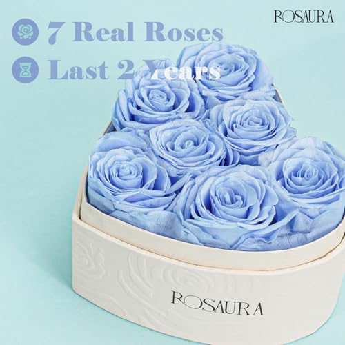 Rosaura Heart-Shaped Preserved Roses Gift Box - Real Forever Flowers for Christmas, Birthday, Valentine's & Mother's Day (Sky Blue, 7 roses) - color: Sky Blue, size: 7 roses