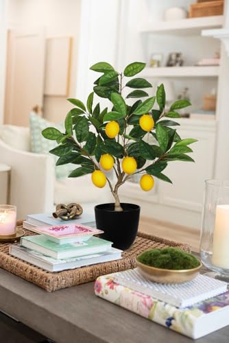 Artificial Potted Plants 19.7 inches Small Fake Lemon Tree Artificial Lemons Citrus Tree with Black Pot Faux Plants Indoor Lemon Decorations for Home,Office, Living Room Table, Desk - style: Plastic Pot