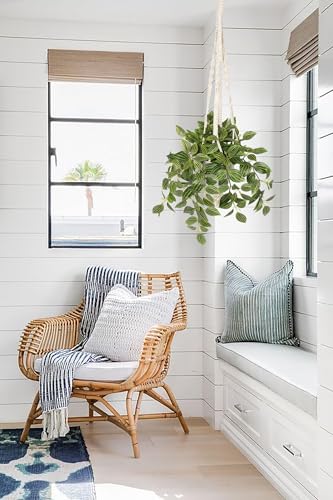 GnFlus Fake Hanging Plants with Pot, 17" Watermelon Leaves Artificial Eye Leaves Potted Plant Faux Peperomia Vine Basket Plant for Wall Bedroom Office Indoor Outdoor Home Decor - color: Watermelon Leaves