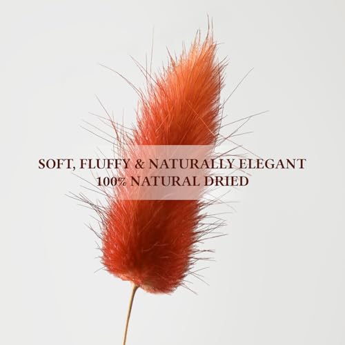 Uieke 17’’ Natural Bunny Tails Dried Flowers, 50 Pcs Dried Lagurus Ovatus, Dried Burnt Orange Pampas Grass Decor for Farmhouse Flower Arrangements Wedding Home Boho Party Decorations - color: Burnt Orange-50pcs