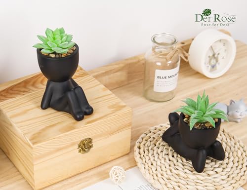 Der Rose 2 Pack Fake Plants Succulent Plants Artificial for Home Bathroom Living Room Office Decor - color: Black