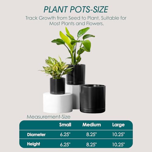 vancasso Ceramic Planters, Plant Pots for Indoor Plants, 6.25+8.25+10.25 Inch Ceramic Pots for Plants, Flower Pots with Drainage Holes (Black, 6.25+8.25+10.25 Inch) - color: Black, size: 6.25 + 8.25 + 10.25 Inch