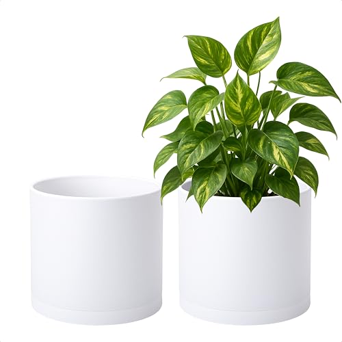 D'vine Dev 2 Pack 8 Inch Modern Plastic Plant Pots, Cylindrical Garden Planters for Plants with Drainage Holes and Saucers, White, 74-Z-M-1 - size: 8"