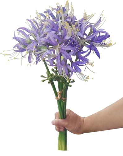 6 Sets 67 CM Lycoris Radiata Artificial Spider Lily Flowers Stonegarlic Clusteramaryllis for Home Garden Wedding Party Decor (Purple) - color: Purple