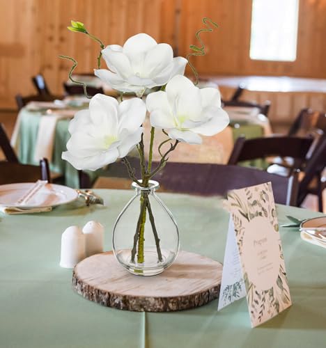 DILATATA Faux Flowers in Vase 14.5" Magnolias Flowers Arrangement with Faux Water Real Touch Flowers for Wedding Table Centerpiece Home Decor, White - color: White-magnolia#2