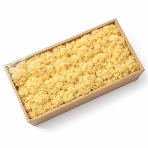 Preserved Reindeer Moss, 17.64oz Natural Decorative for Home Decor, DIY Crafts, Moss Wall Art, Terrariums, Floral Arrangements, Wedding & Holiday Decorations (Pale Yellow) - color: Pale Yellow