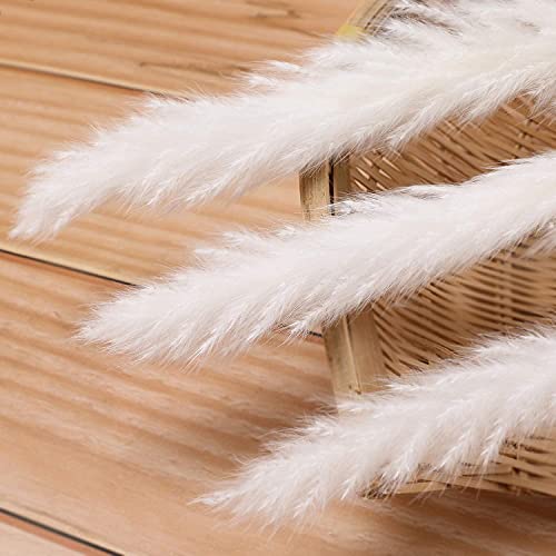 60 Pcs White Pampas Grass ,17 inch/45 cm Natural Dried Pampas Grass Branches Decor for Home Kitchen Garden Party Photographing Flower Arrangement Vase Decor（White - color: White-pro