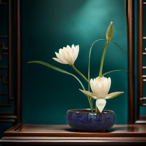 Water Lotus Bowl Planter Kit - Japanese Compote Bowl Ikebana Vase Set w/ 1.8" Floral Frog- Ideal for Ikebana, Flower Arrangement & Hydroponic Planting (Blue) - color: Blue
