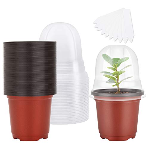 MIXC Plant Nursery Pots with Humidity Dome 4" Soft Transparent Plastic Gardening Pot Planting Containers Cups Planter Small Starter Seed Starting Trays for Seedling with 10pcs Plant Labels，30 Sets - color: Red, size: 4 Inch-with Lid