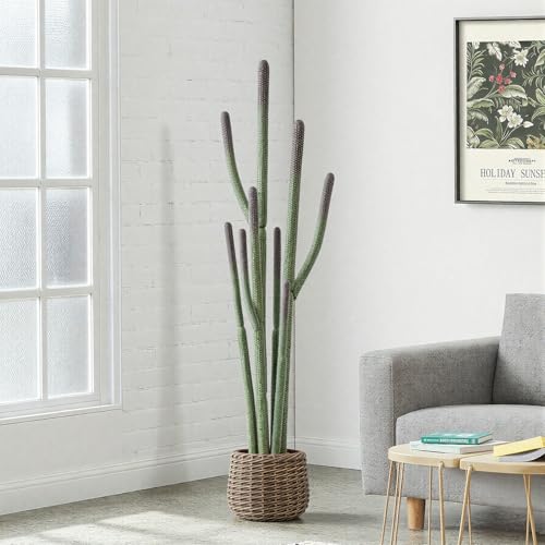 64” Artificial Cactus Plant with Brown Decorative Planter, Realistic Faux Cactus Plants Indoor, Tropical Artificial Cacti Floor Plant for Table Living Room Office Porch Home & Outdoor Decor - size: 64''