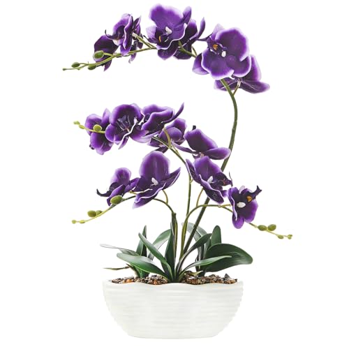 19" H Phalaenopsis Faux Orchid Plant Silk Orchid Centerpiece Artificial Floral Arrangement in Ceramic Pot (Deep Purple) - color: Deep Purple