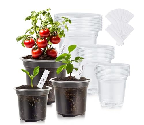 30 Packs Clear Nursery Pots for Plants, 3.5/4/5 Inch High Transparency Plastic Seedling Plant Pot with Drainage Holes, Includes 20 Labels - size: 3.5/4/5 in-30p