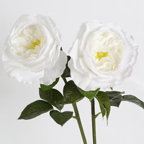 2Pcs 5.12" Silk Roses Big Bloom Fake White Rose with Stems 25.60" Long Real Touch Faux Rose Peonies Artificial Flowers for Arrangement Wedding Home Kitchen Spring Table Centerpiece (White) - color: White