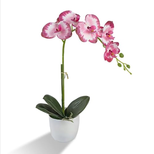 Artificial Orchid Flowers in Pot, 12" Real Touch Phalaenopsis Faux Orchid Plant with Fake Moss, Small Artificial Flowers Arrangement for Home Decor Indoor, Bathroom, Office Table C (Rose Red) - color: Rose Red