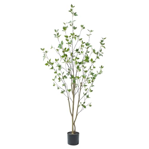 Bellacat 5ft Artificial Minimalist Citrus Tree with Lifelike Leaves, 60in Faux Citrus Tree with Realistic Trunks, Faux Tree Indoor Outdoor for Home Office Living Room Bedroom Porch Decor. - color: Black, size: 5ft