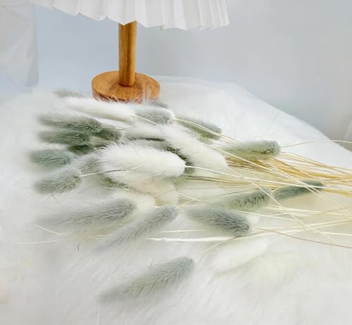 120pcs Dried Bunny Tails Flowers White and Grey Pampas Grass Natural Dried Floral Arrangement Dry Flowers for Christmas Halloween Boho Decor Home Wedding DIY Craft Decoration (16") - color: Grey-white