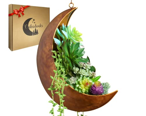 Hanging Moon Planter - Moms Day Gifts for Women - Moon Room Decor - Unique Planters for Succulents,Air Plant, Cactus, Artificial Plants- Plant Lover Gifts - Boho,Hippie, Witchy, Birthdays Gifts - color: Gold