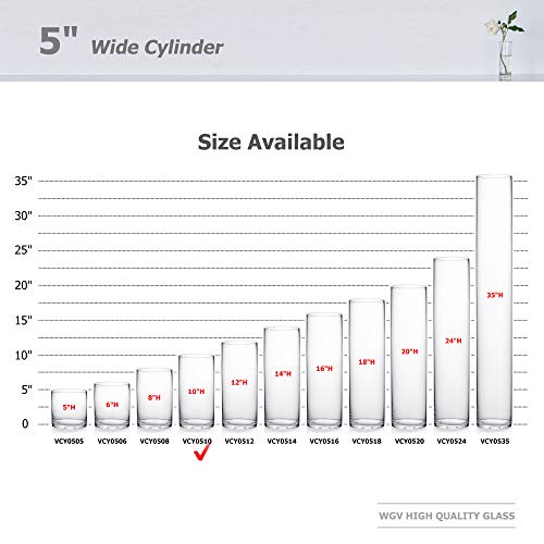 WGV Cylinder Vase, Diameter 5", Height 10", Clear Glass Floral Planter Container, Floating Candle Holder for Wedding Party Event Home Office Decor, 1 Piece - size: 5"x10"H CL